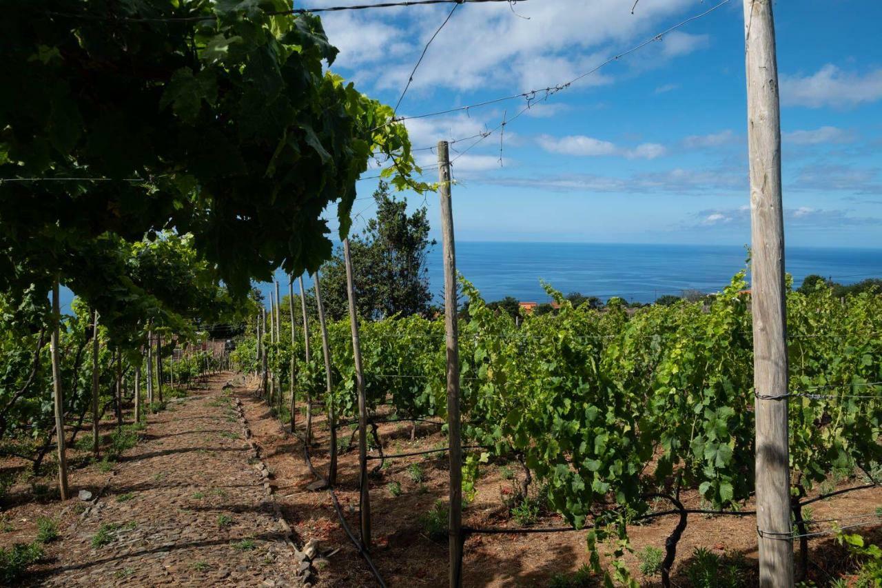 Quinta Das Vinhas Hotel Calheta  Exterior photo